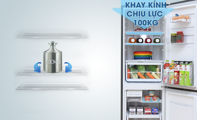 Khả năng chống chịu trọng lượng lên đến 100kg với tủ lạnh EBB2600MG