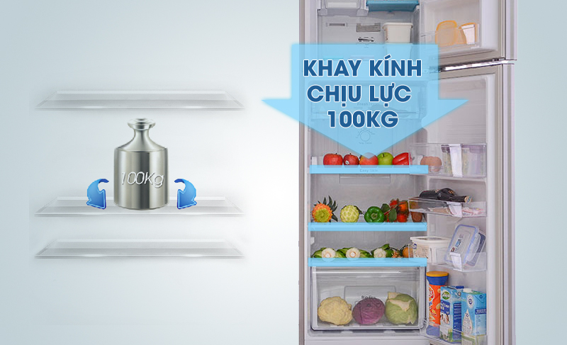 Khay chứa linh hoạt, mạnh mẽ với tủ lạnh RT25FARBDSA