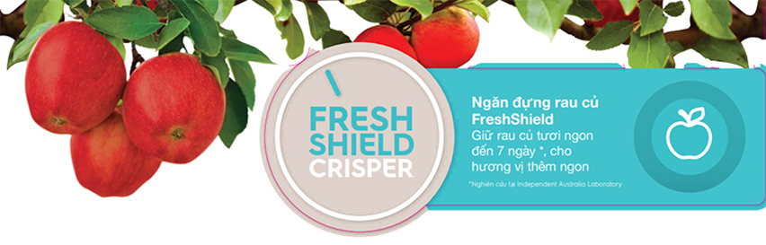 FreshShield – ngăn chuyên dụng cho bảo quản rau củ