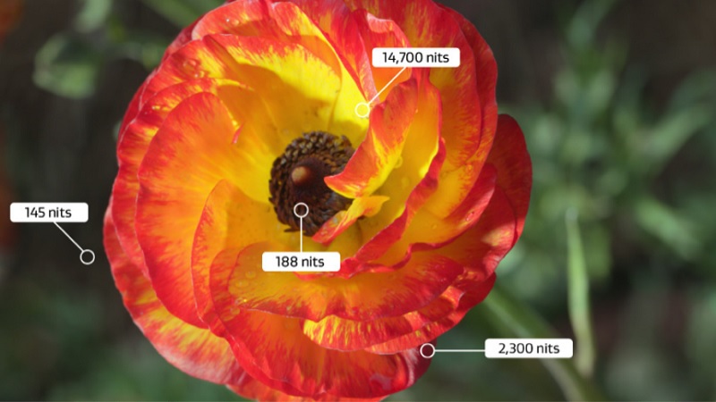 Màu sắc của hình ảnh tivi công nghệ HDR rực rỡ và chân thực