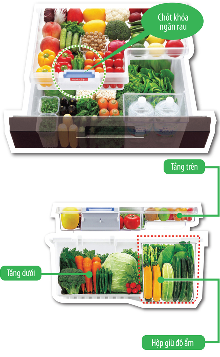Ngăn mát rộng rãi hơn, hoạt động hiệu quả hơn của tủ lạnh SJ-GF60A-R
