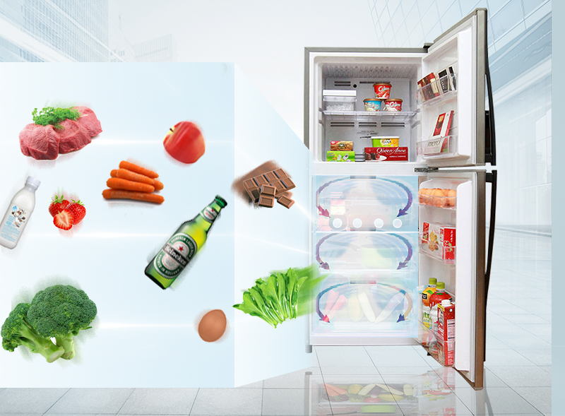 Hệ thống khí lạnh đa chiều giúp bảo quản tốt hơn với tủ lạnh GN-L205S