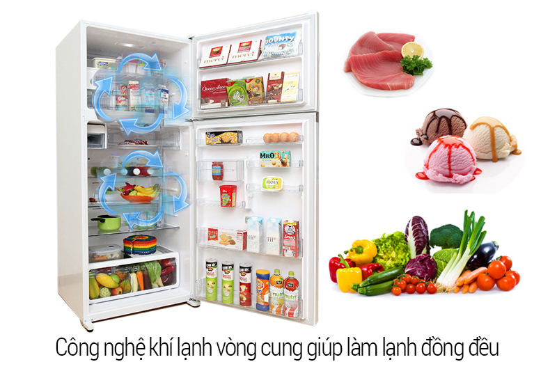 Luồng khí lạnh vòng cung cho thực phẩm được làm lạnh đồng đều và hiệu quả