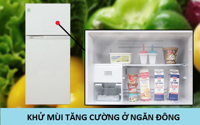 Khử mùi tăng cường ở ngăn đông vô cùng tiện lợi