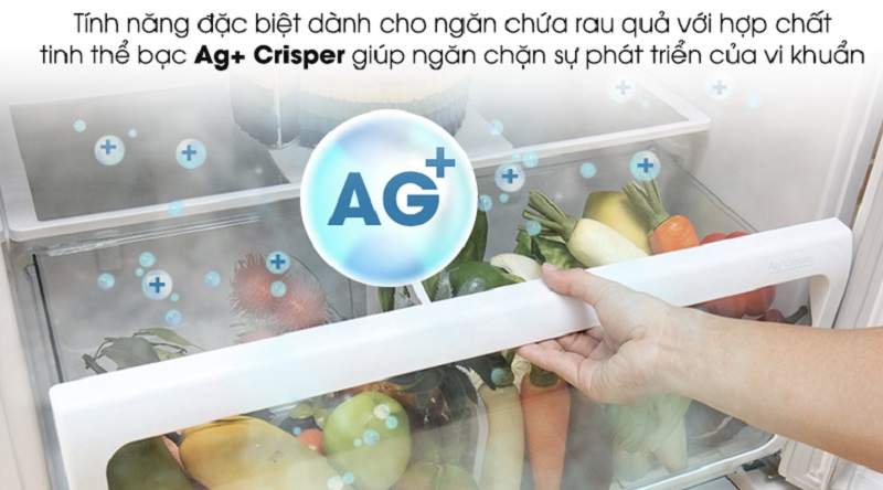 Ngăn rau củ kháng khuẩn, bảo qua được lâu hơn - Tủ lạnh Toshiba Inverter 600 lít GR-WG66VDAZ