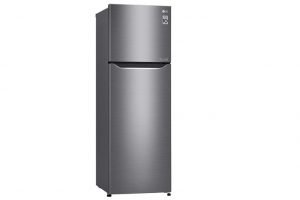 Tủ lạnh LG inverter 209 lít GN-L225S