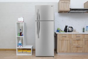 Tủ lạnh LG Inverter GN-L275BS 255 lít
