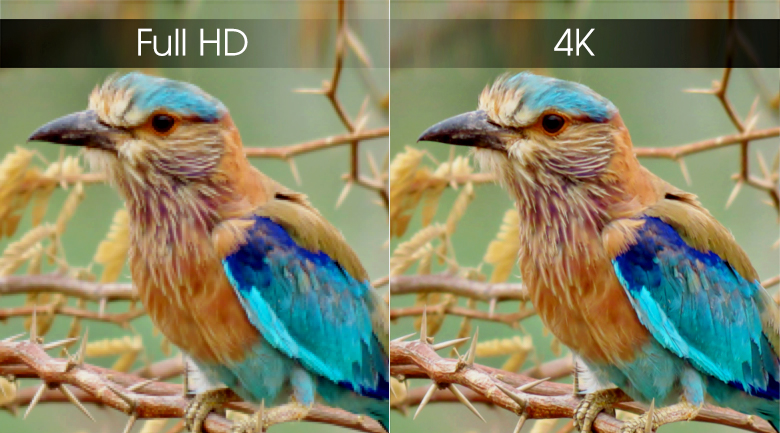 Android Tivi Sony 4K 43 inch KD-49X8000G - 4K
