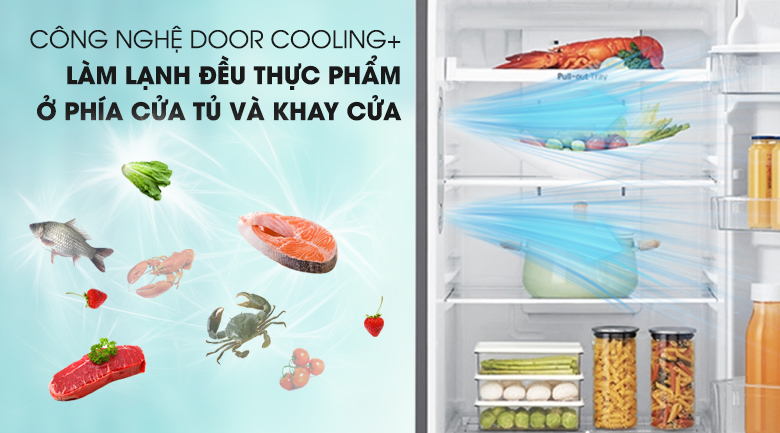 Công nghệ DoorCooling+ cân bằng nhiệt độ - Tủ lạnh LG Inverter 393 lít GN-D422PS